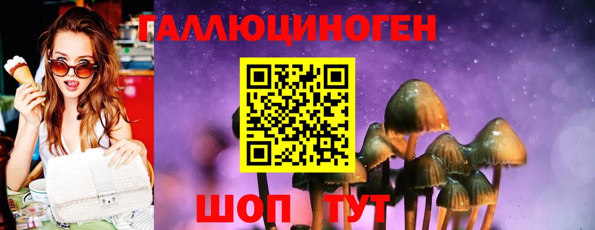 Галлюциногенные грибы Magic Shrooms Дербент